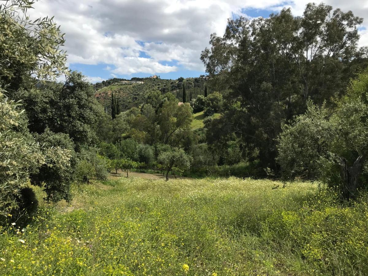 Studio Views Apartment, Cortijo Fruitful Hills Malaga Zewnętrze zdjęcie