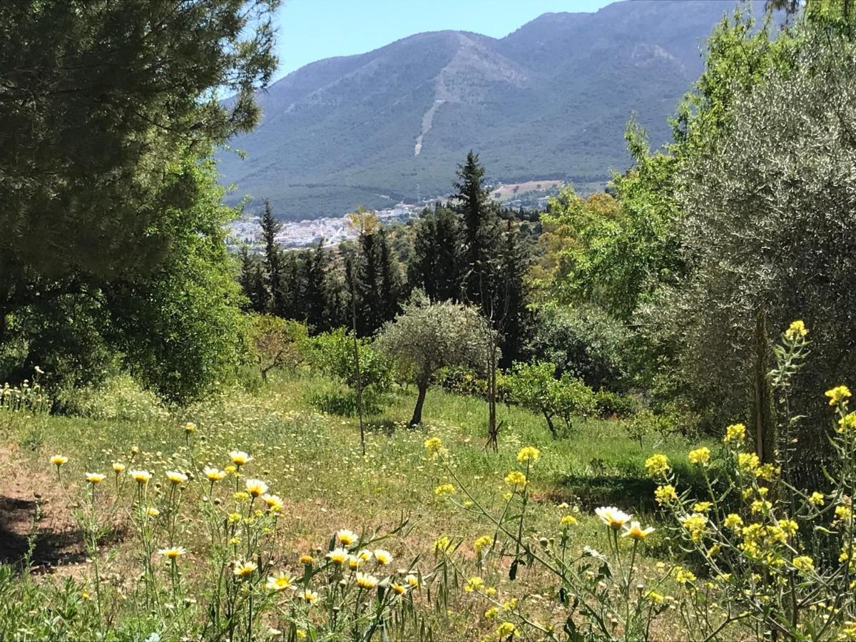 Studio Views Apartment, Cortijo Fruitful Hills Malaga Zewnętrze zdjęcie