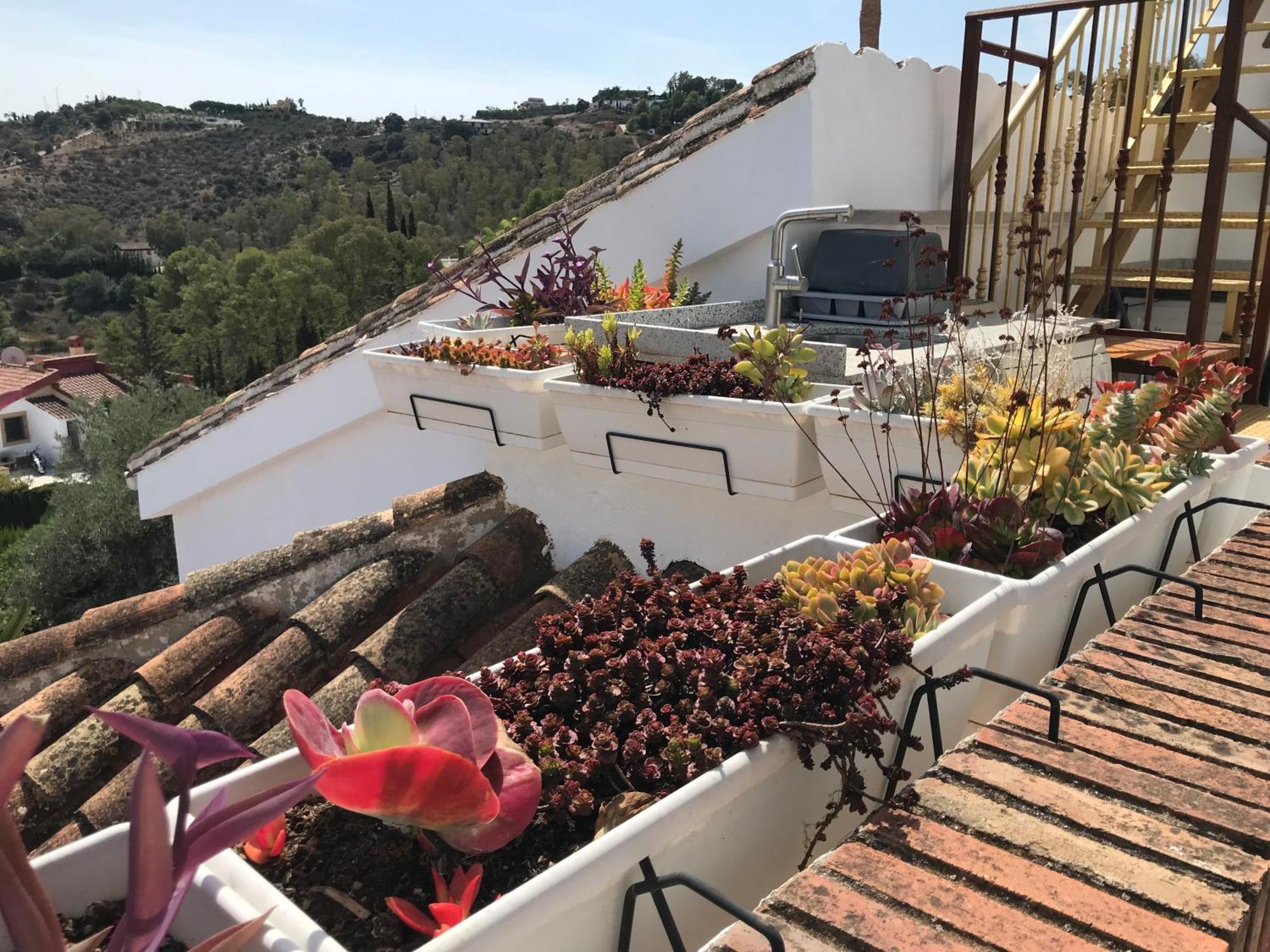 Studio Views Apartment, Cortijo Fruitful Hills Malaga Zewnętrze zdjęcie